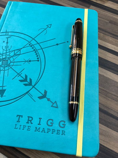 Trigg Life Mapper Review