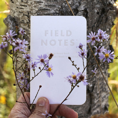 Field Notes Birch Bark Autumn 2023